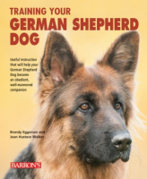 Training_your_German_Shepherd_dog