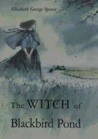 The_witch_of_Blackbird_Pond