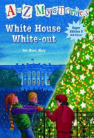 White_House_white-out