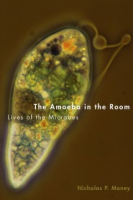 The_amoeba_in_the_room