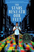 The_stars_beneath_our_feet