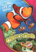 Clownfish