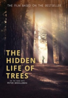 The_hidden_life_of_trees