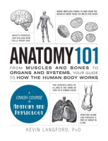 Anatomy_101