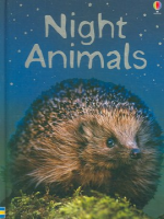 Night_animals