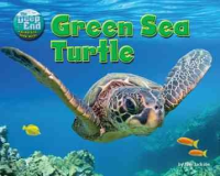 Green_sea_turtle