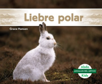 Liebre_polar