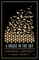 A_house_in_the_sky