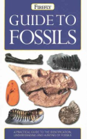 Firefly_guide_to_fossils