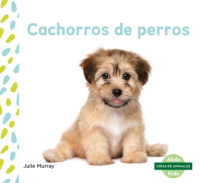 Cachorros_de_perros