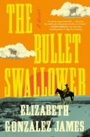 The_bullet_swallower