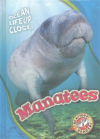 Manatees