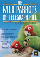 The_wild_parrots_of_Telegraph_Hill