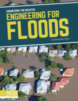 Engineering_for_floods