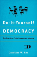 Do-it-yourself_democracy