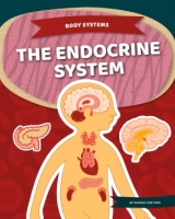 The_endocrine_system