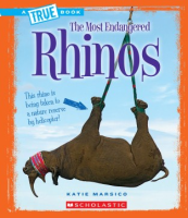 Rhinos