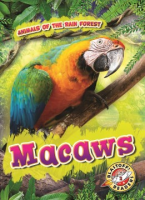 Macaws