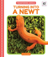Turning_into_a_newt