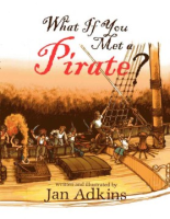 What_if_you_met_a_pirate__