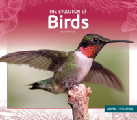 The_evolution_of_birds