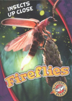 Fireflies