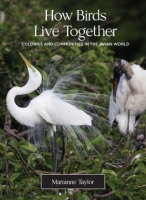 How_birds_live_together