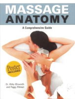 Massage_anatomy